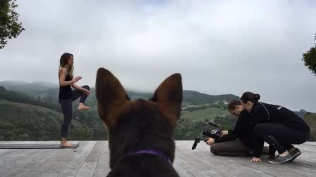 Dog POV: BTS clip of a Mini-Documentary of a Yoga Instructor