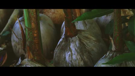 Lugao Kasberg 2015 Reel