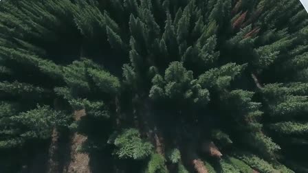 Delaney Media | Video Production Reel