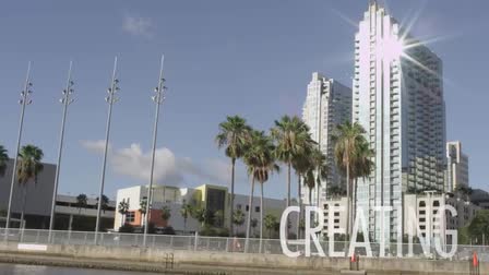 TAMPA