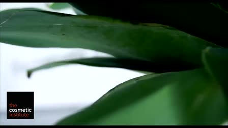Editing reel 