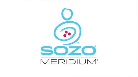 SOZO Global