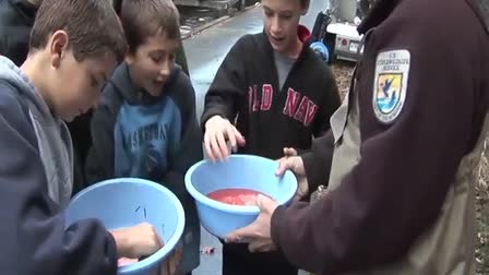 School kids and salmon