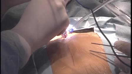 Life Sciences Video Demo