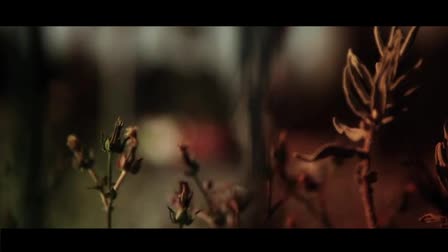 Show Reel by Ian Rymsha