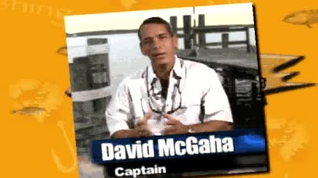 Fish Daytona Promo