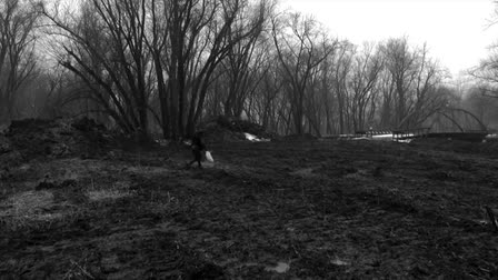 Crossing the Skunk