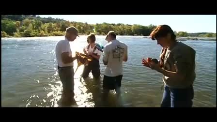 Fear the Turtle 2010