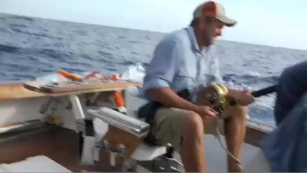 "how to do florida" trailer