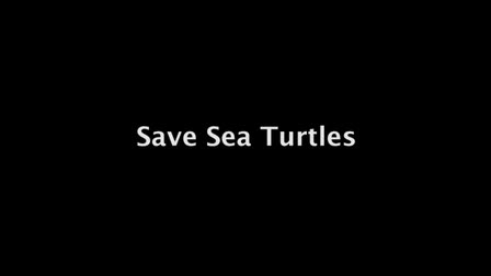 Save Sea Turtles