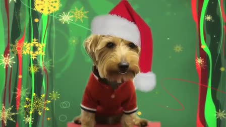 Season's Greetings