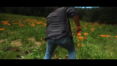 Demo Reel
