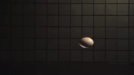 Vertigo Egg