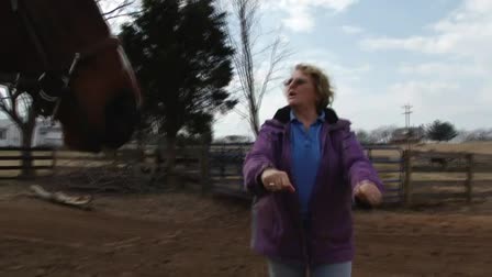 Progressive Riding Program