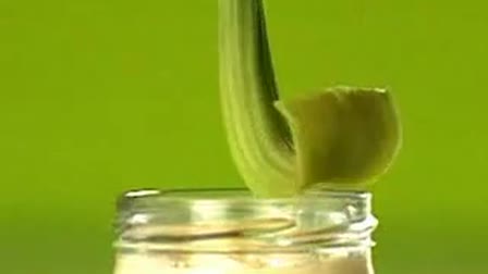 Farmhouse Mayonnaise
