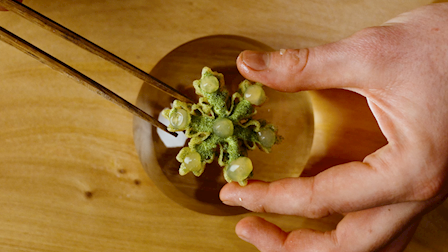 Forage Restaurant Commercial