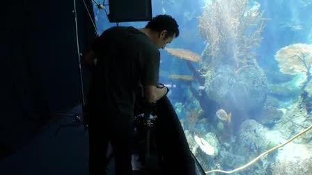 Aquarium of the Pacific