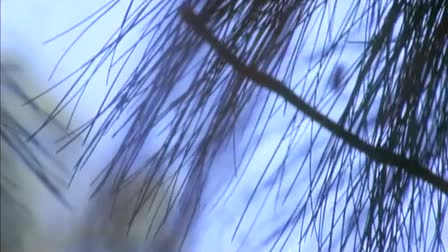 Chris Burgon Cinematography Reel 2009
