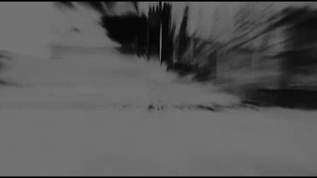 Savage Productions Demo Reel